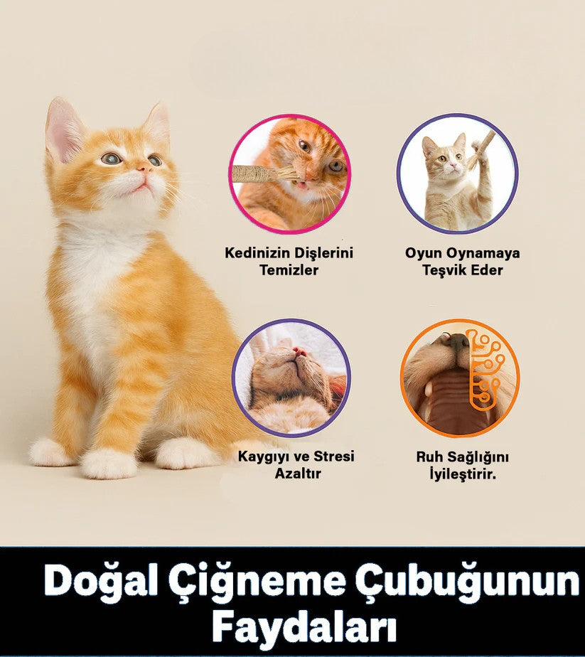 Furrava Doğal Çiğneme Çubuğu