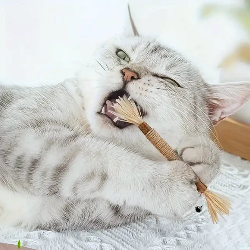 Furrava Doğal Çiğneme Çubuğu