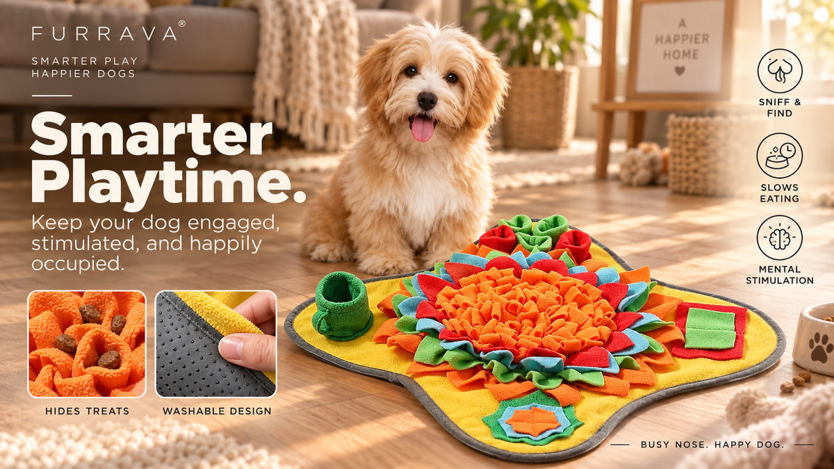 Interactive Snuffle Mat For Dogs