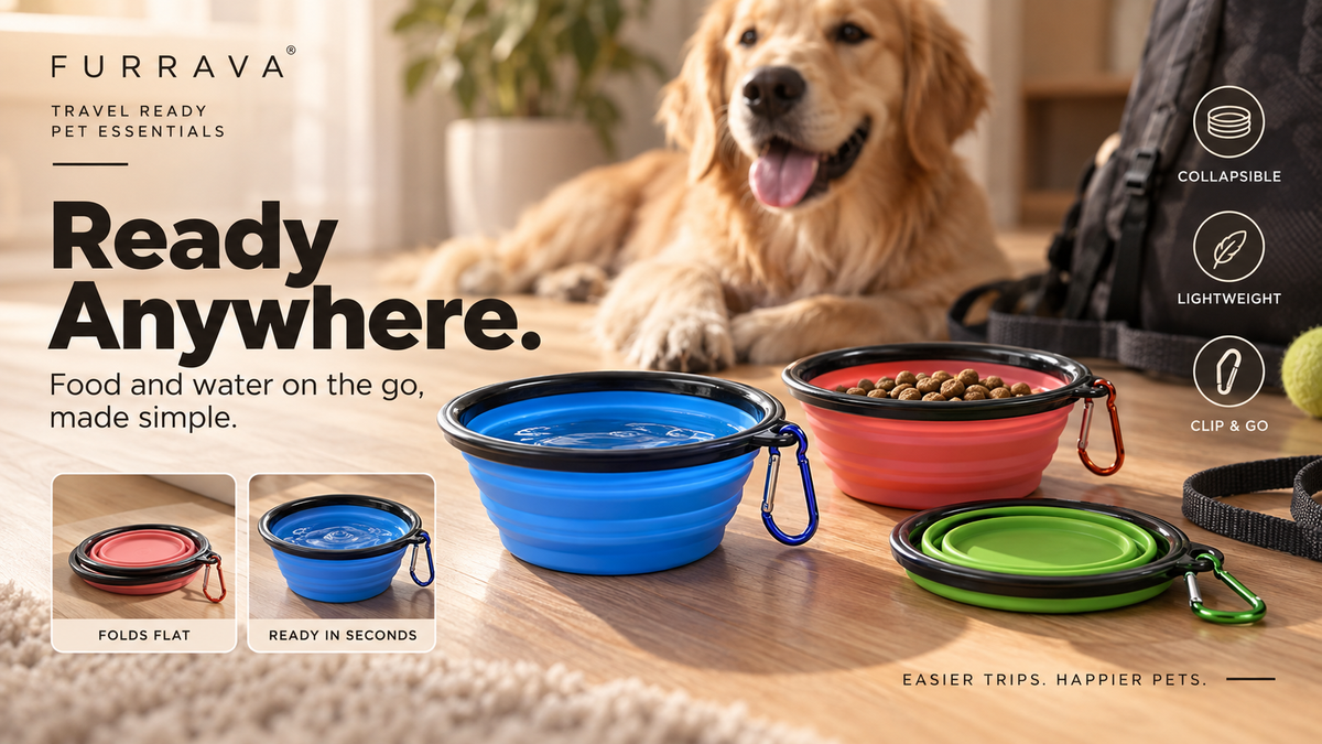 Portable Pet Food Bowl